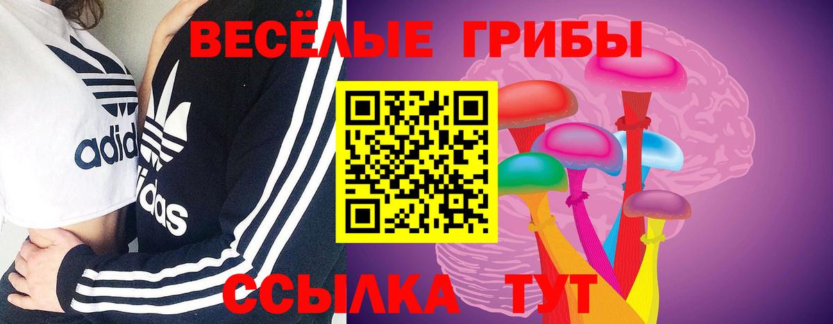 Галлюциногенные грибы MAGIC MUSHROOMS Северск