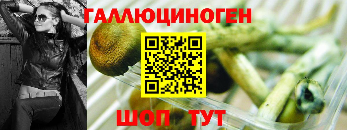 Северск  Псилоцибиновые грибы прущие грибы  Галлюциногенные грибы мухоморы  Вход с VPN 
